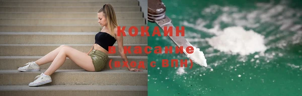 соль ск Алексин