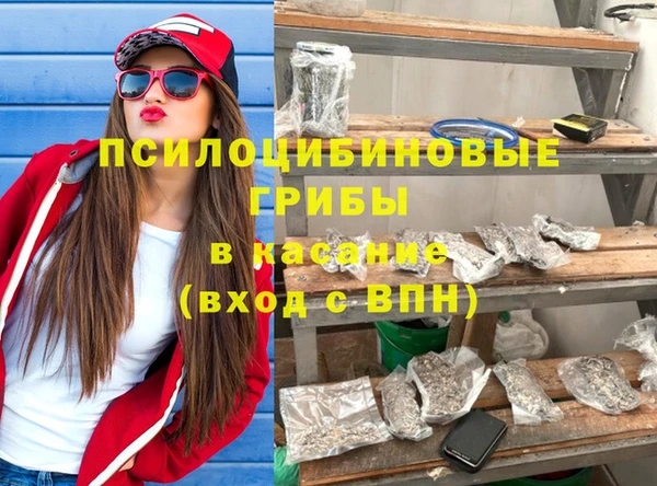 соль ск Алексин