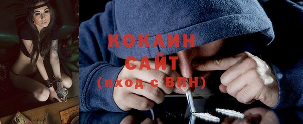 прущий лед Алзамай