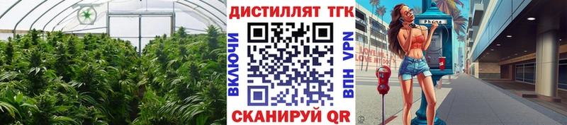 blacksprut как зайти  Пыталово  нарко площадка наркотические препараты  ТГК концентрат 