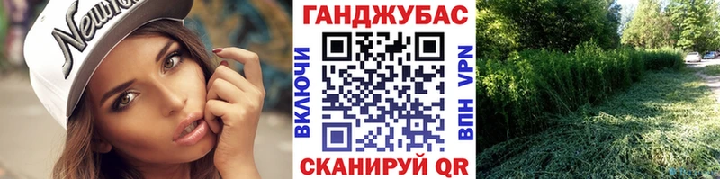 ссылка на мегу зеркало  купить  сайты  Пыталово  Конопля сатива 